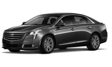 65252366569xts_2021